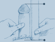 Measure up